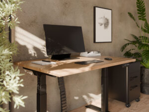 Jak biurko z regulacją wysokości zmienia Twoją codzienność – nie tylko w pracy
